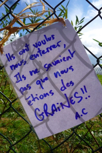 ferme des bouillons.jpg