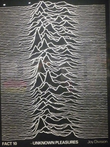 unknown pleasures.jpg